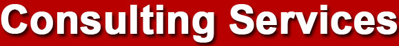 Consulting Services
