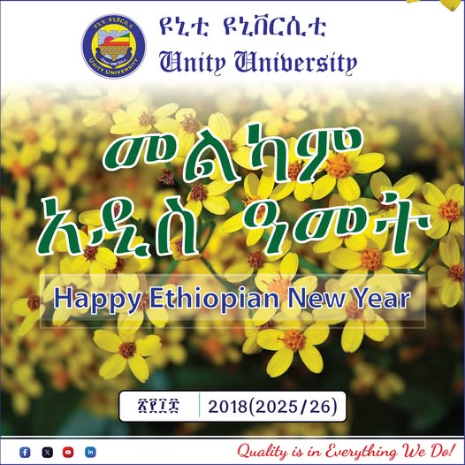 Unity University Happy new Year for Website Design
